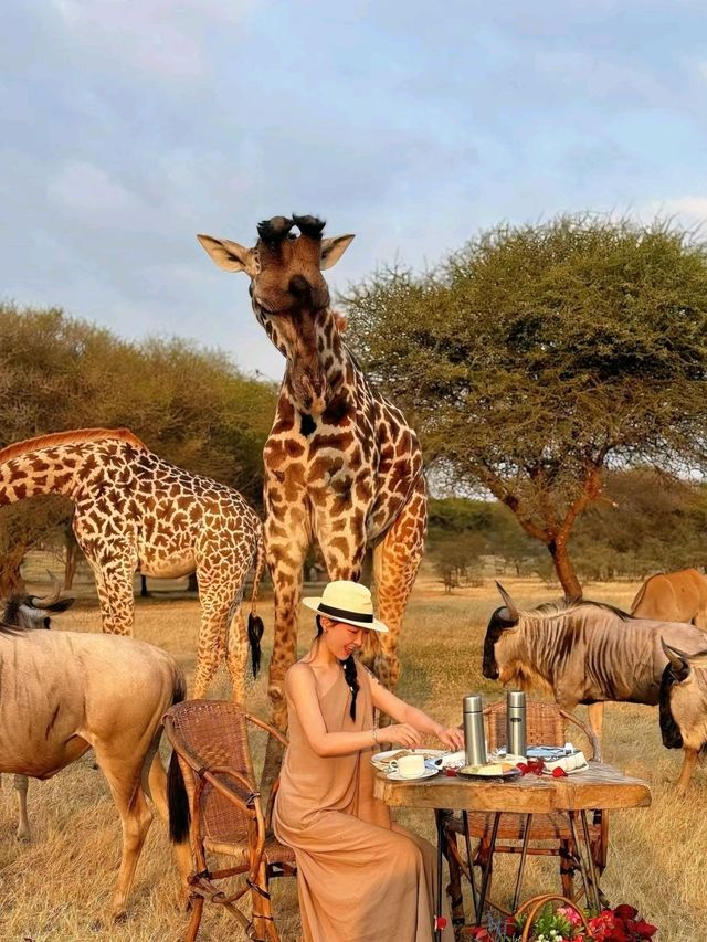 Tanzania Safari Park won my heart 🥰❤️