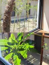 來到山野,體驗一場秋日之約吧。