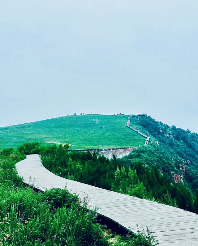 總要來一次伏羲山，看看屬於鄭州的阿勒泰
