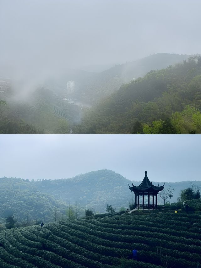 在安吉!睡進270°躺看茶山的野奢帳篷酒店。