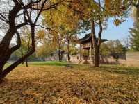 常家莊園簡介