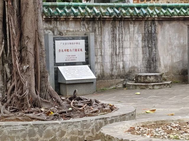 暢遊廣東徐聞風光。