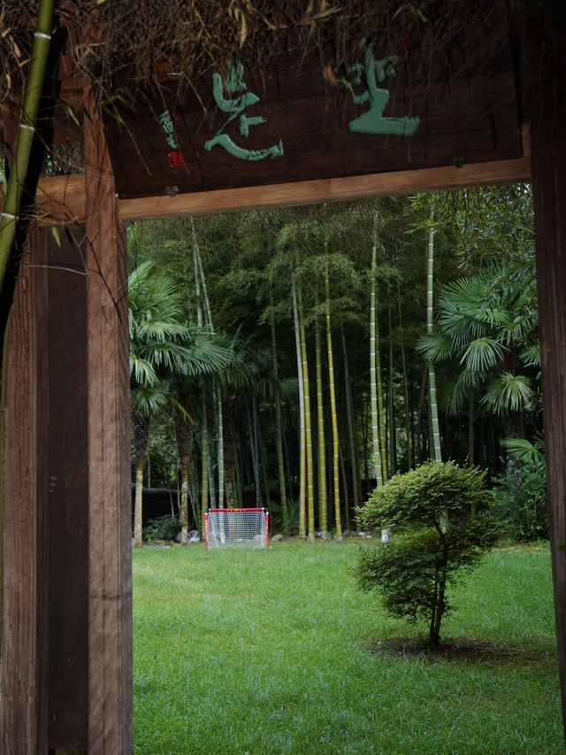秋日旅行計劃來山裡做一場清閒的夢。