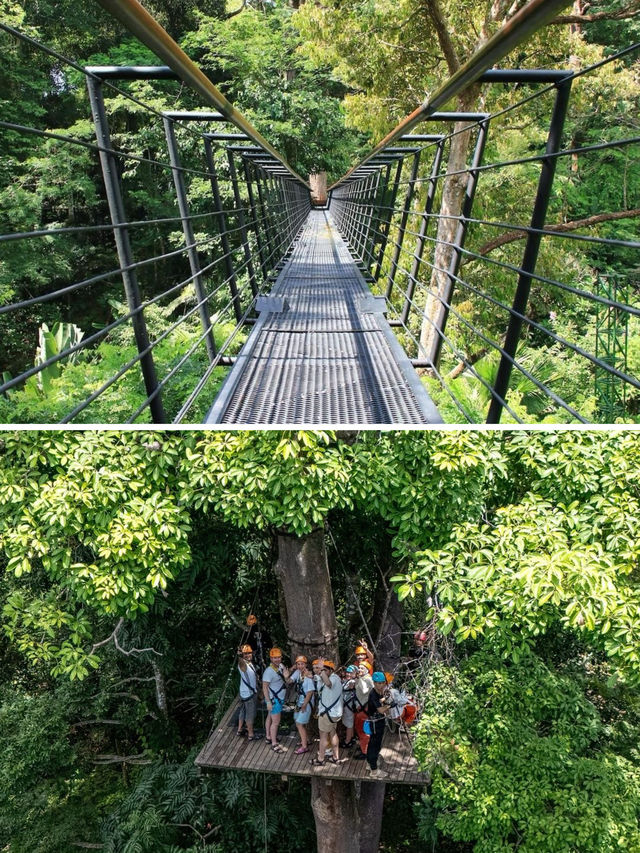 普吉島旅行必體驗之叢林飛躍！三大叢林飛躍該怎麼選？建議收藏！。