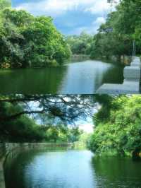 總有一次在公園相遇吧，我怕我會愛上這裡。