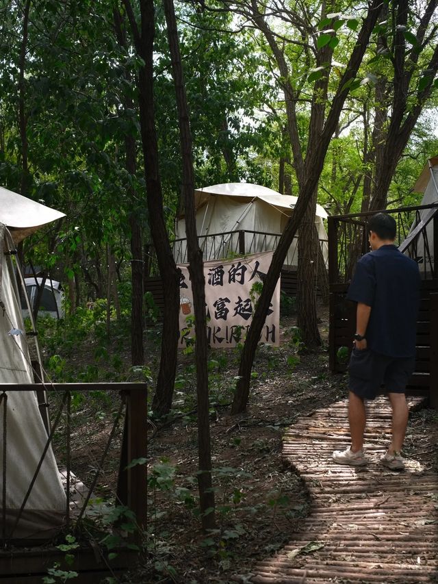鄭州附近的森林露營地，這份愜意誰能懂？