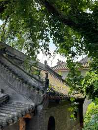 "北山公園：一次心靈的旅行與自然的對話"。