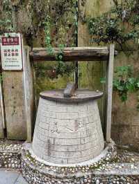 雲碧峰森林國家公園。