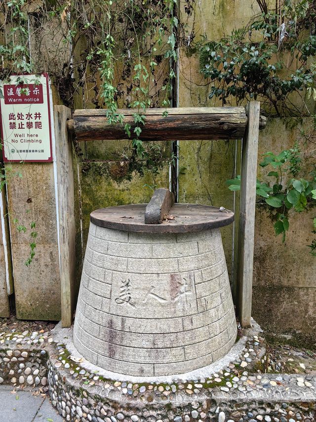 雲碧峰森林國家公園。