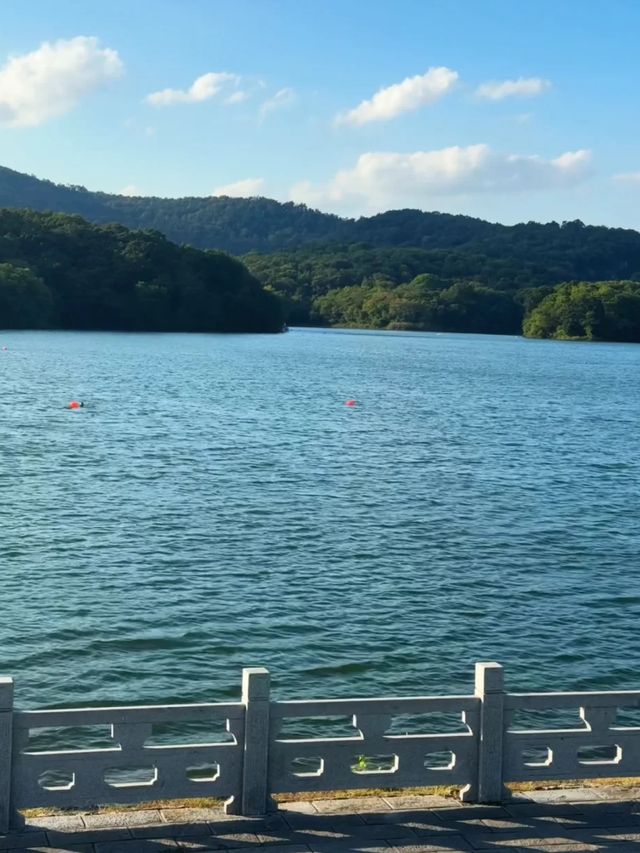 南京小眾遛娃公園 citywalk 好去處——佛手湖野郊。