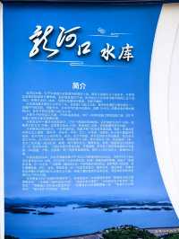 龍河口水庫。