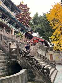 寶輪寺一日遊！《附攻略》。