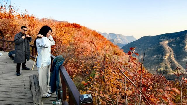 紅葉染盡「坡峰嶺」。