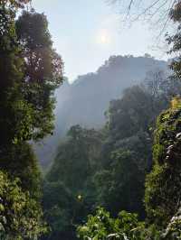 青城山天師洞遊玩全攻略｜交通、門票、景點、美食一網打盡！。
