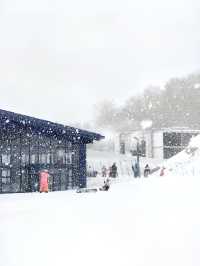 滑雪｜雲頂滑雪公園。