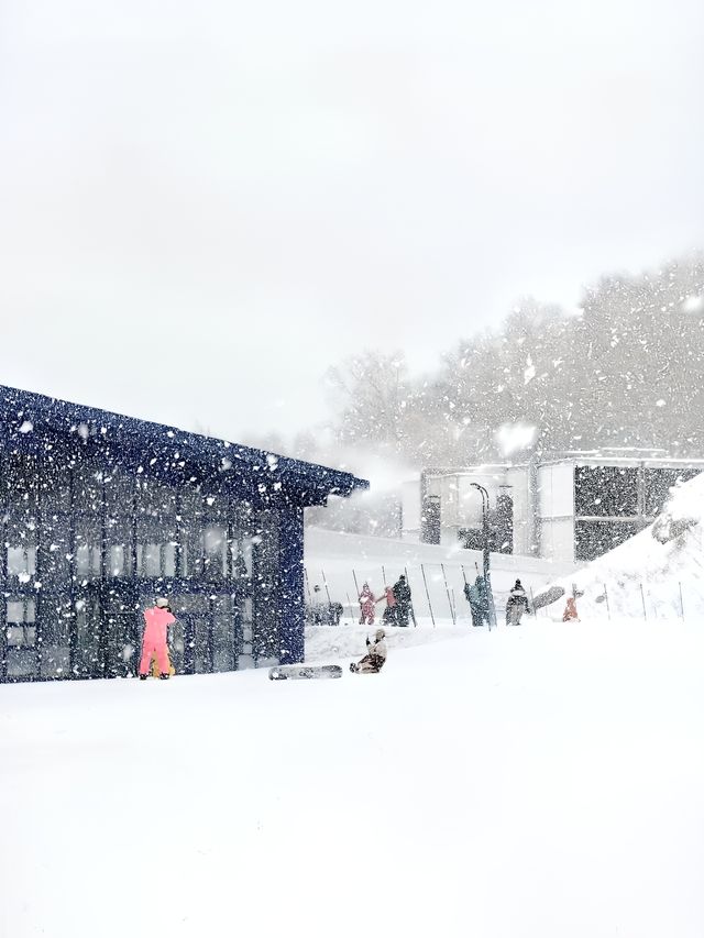 滑雪｜雲頂滑雪公園。