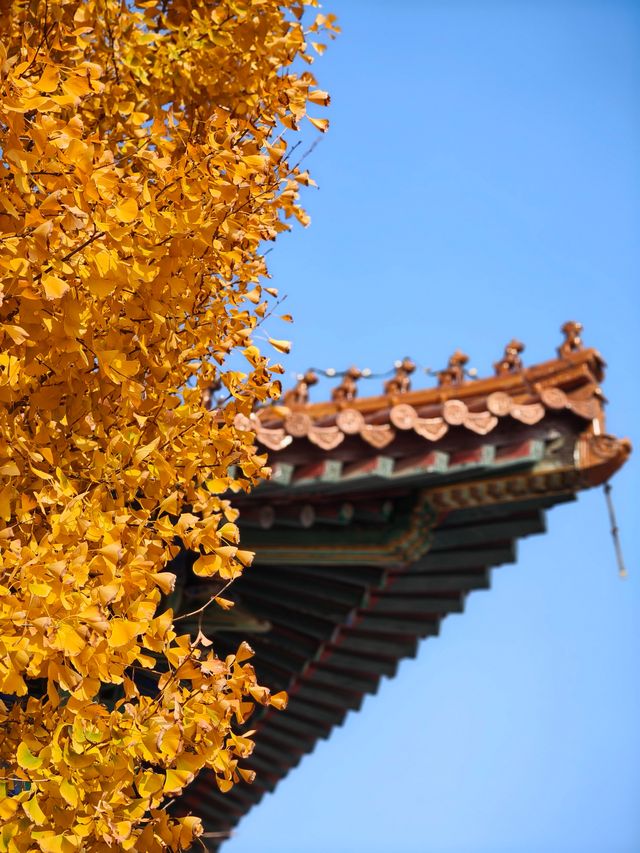 國安第一城。
