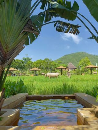 Jiangmen Enping Spring Forest Golden Town Guide: A Hot Spring Wellness Trip. 