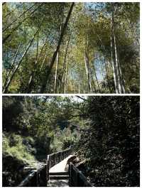 天馬山自然風光秀麗空氣清新得令人心動。