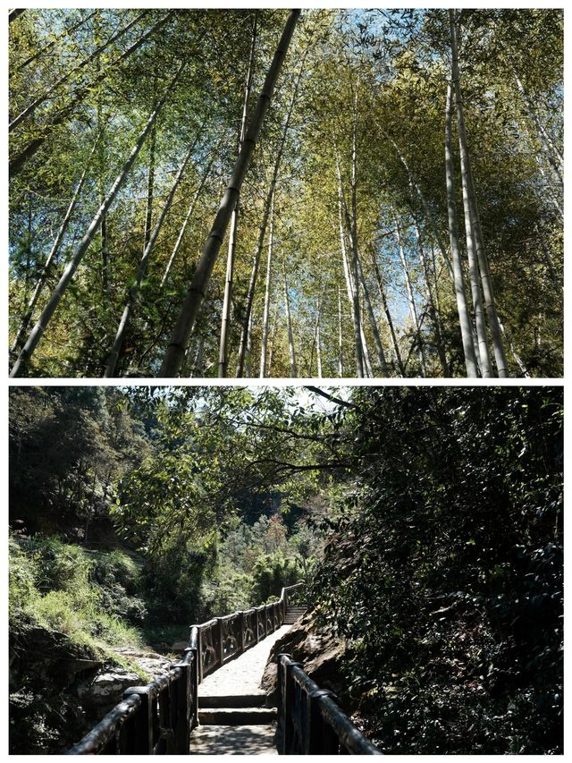 天馬山自然風光秀麗空氣清新得令人心動。