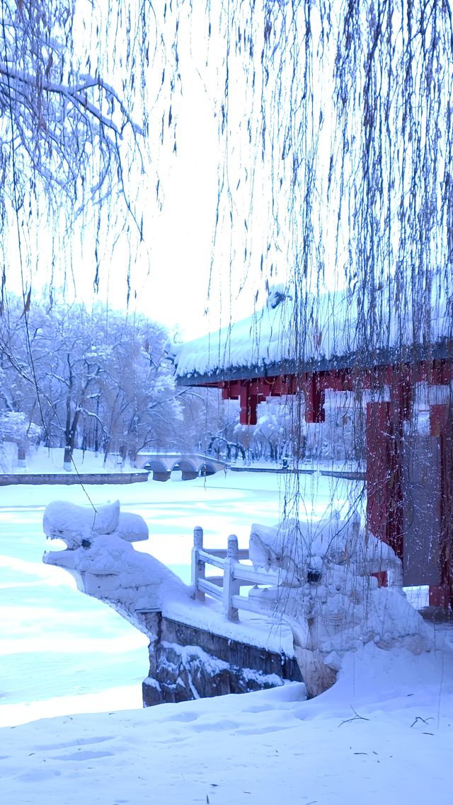 杏林湖公園。