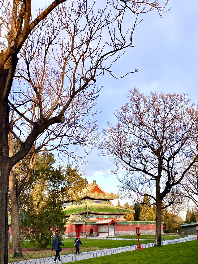 冬日藍天下祈年殿的天壇公園韻味。