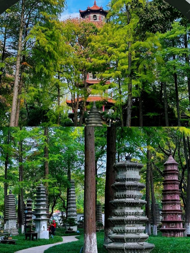 不在京都！就在武漢這個公園已經美到失語。