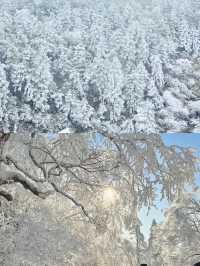 廣東出發坐高鐵，2小時就能看到雪。