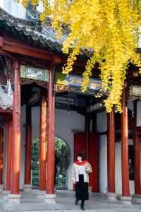 2025年來武漢第一站本地人帶你逛歸元寺