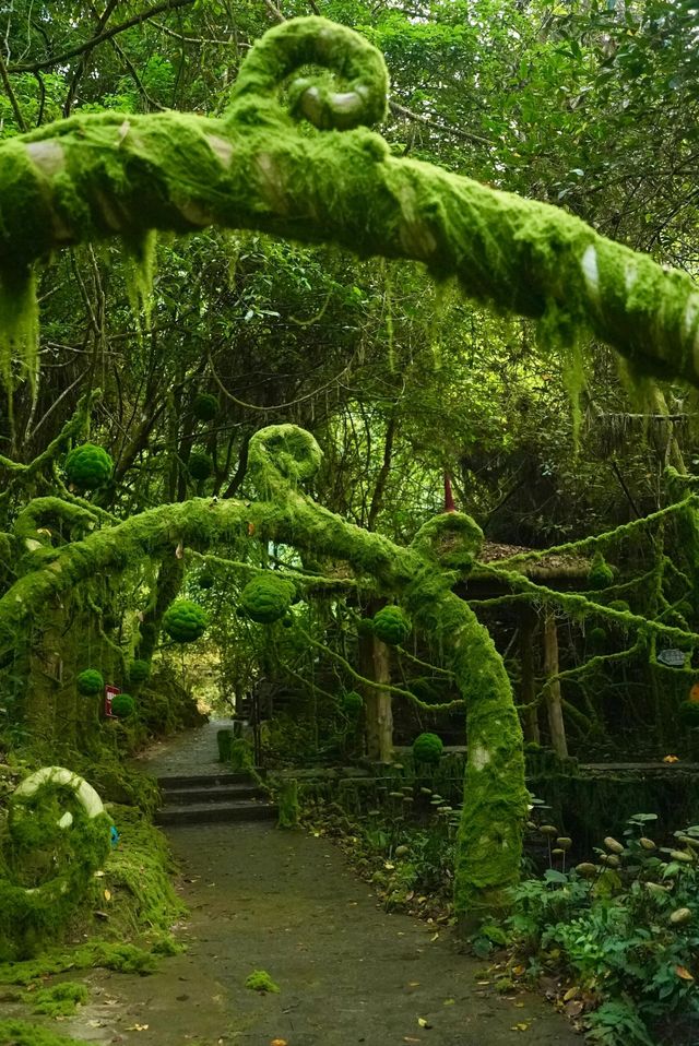 柳州
