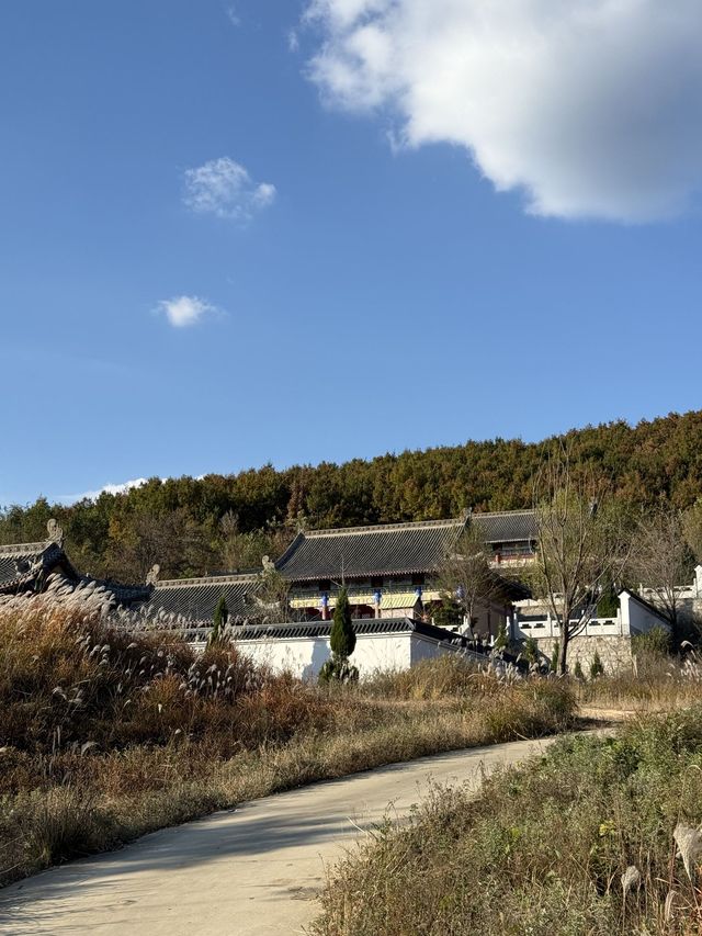 超治癒冬季山東威海-青島遊 不看後悔真的太美了