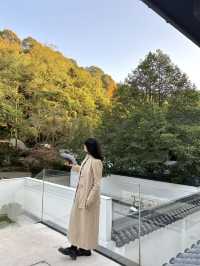 睡進山裡為了這扇窗來了趟西湖