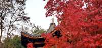 真的不想叫你來這裡｜梅隴生態公園