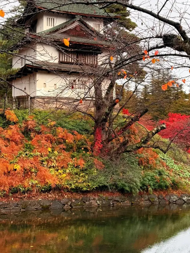 5-Day Ski Trip in Japan: A Detailed Guide