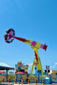 Experience the Romance of Hong Kong's Ocean Park
