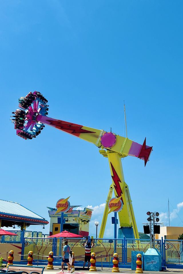 Experience the Romance of Hong Kong's Ocean Park