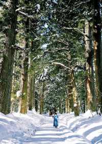 樂在大雪紛飛—日本長野