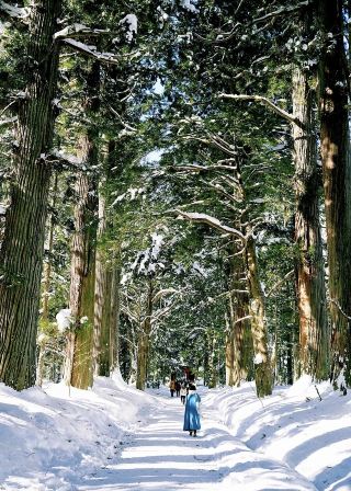 Fun in the Snow - Nagano, Japan
