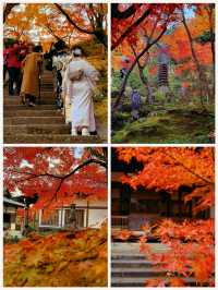 京都·常寂光寺「伏在山坡的美人」體驗和服之美