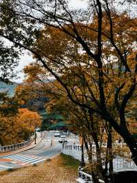 5日遊釜山