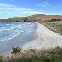 New Zealand South Island 