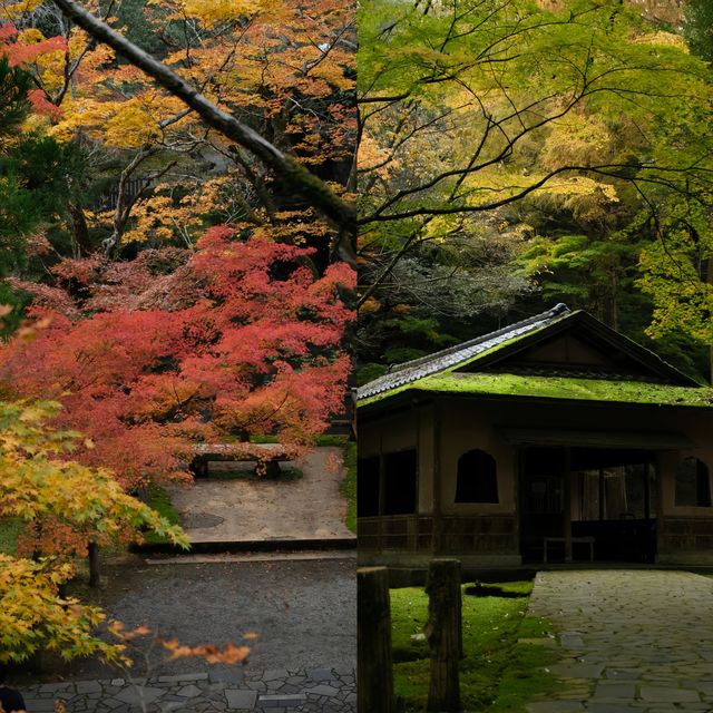 在小松那谷寺，邂逅一場治癒的日光禪境