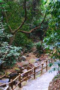 新年暴富這個春節到南丹山接福接財過大年