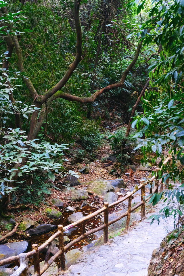 新年暴富這個春節到南丹山接福接財過大年