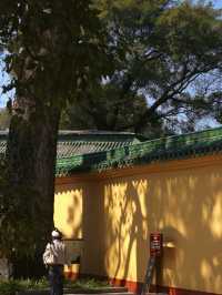 所願皆所得｜韶關祈福聖地南華禪寺