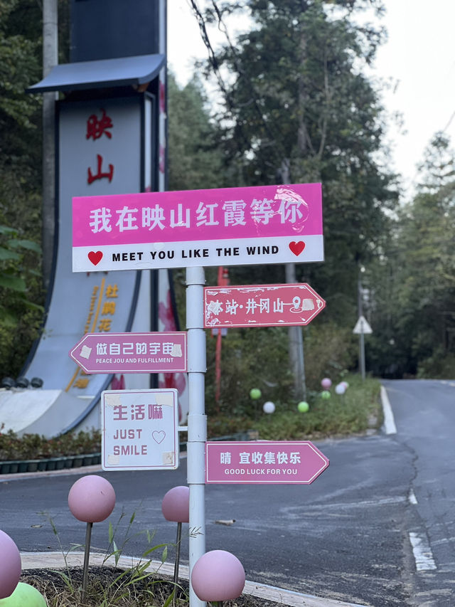 Some eye catching photos from Jinggangshan Mountain