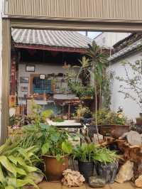 6天暢遊紅河-曲靖 超全攻略助你避坑不踩雷