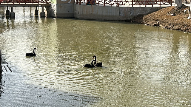 爬山看動物的治癒之旅——九峰山森林動物園