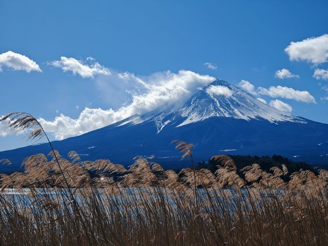 2025年春節全家日本遊