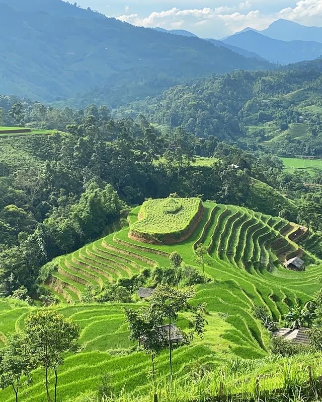 越南沙巴梯田——人類與大自然的完美交織